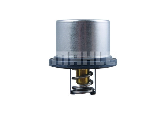 Thermostat, coolant (THD 5 75)