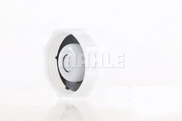 Cap, coolant tank
