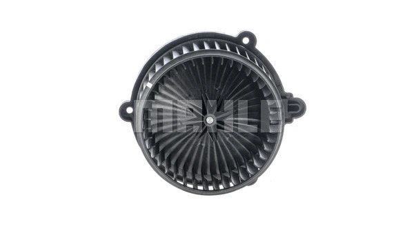 Interior Blower