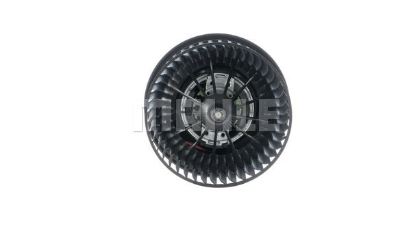 Interior Blower