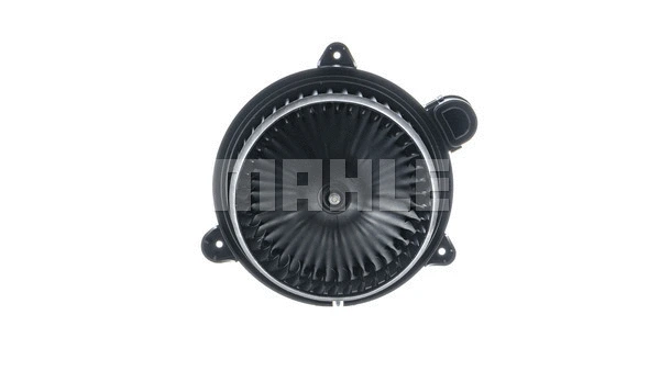 Interior Blower