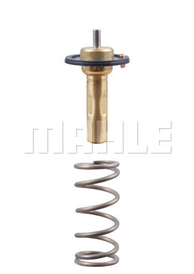 Thermostat, coolant