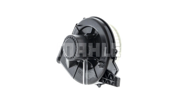 Interior Blower