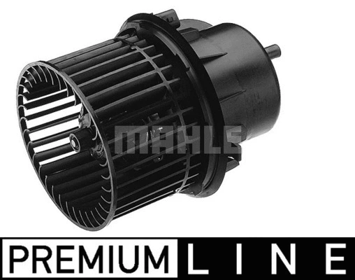 Interior Blower