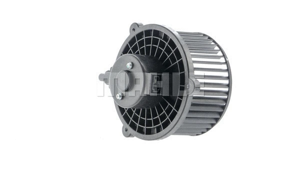 Interior Blower