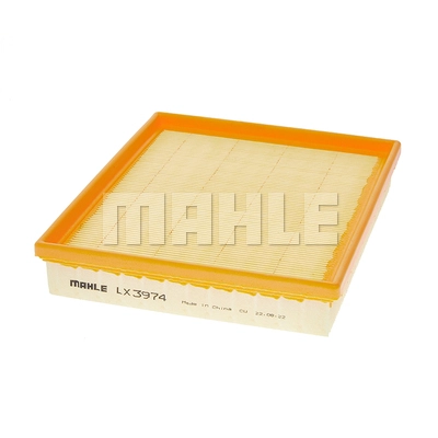 Air Filter (LX 3974)