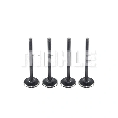 Intake Valve (VA1950223)