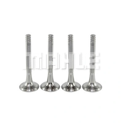 Exhaust Valve (VE0590065)