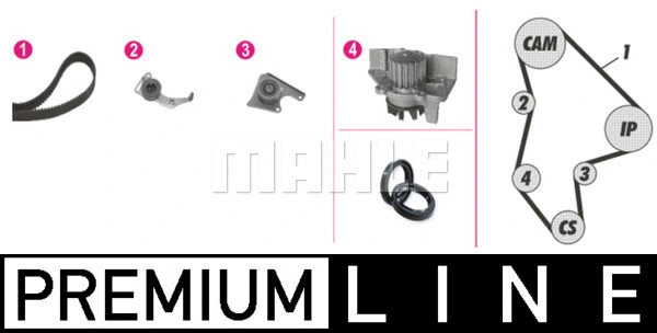Water Pump & Timing Belt Kit