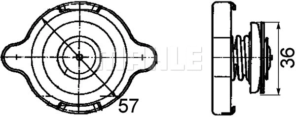 Cap, radiator (CRB 10 000P)