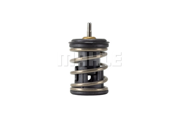 Thermostat, coolant (TX 253 105D)