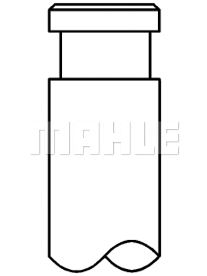 Intake Valve (640 VE 31144 000)