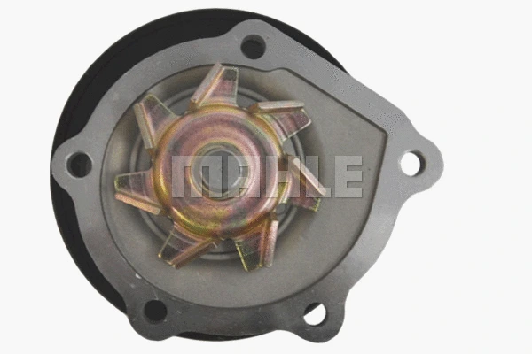 Water Pump, engine cooling (CP 97 000P)