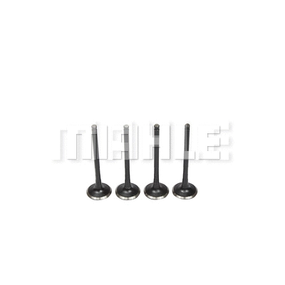 Exhaust Valve (VE0630208)