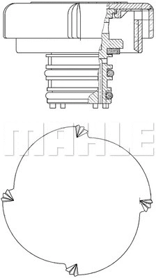 Cap, coolant tank