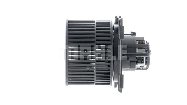 Interior Blower
