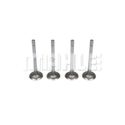Intake Valve (VA0250060)