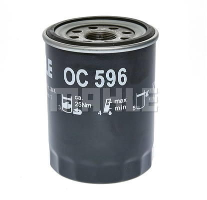 Oil Filter (OC 596)