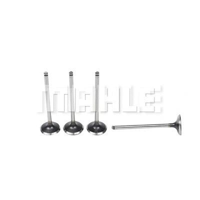 Intake Valve (VA0440579)