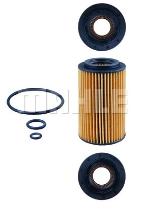 Oil Filter