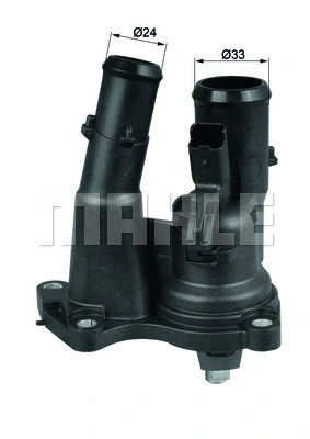 Thermostat, coolant (TM 31 98)