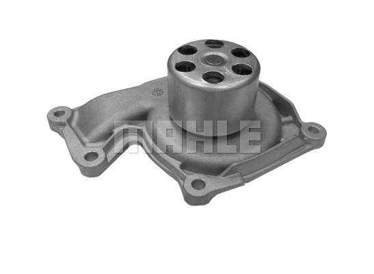 Water Pump, engine cooling (CP 439 000S)
