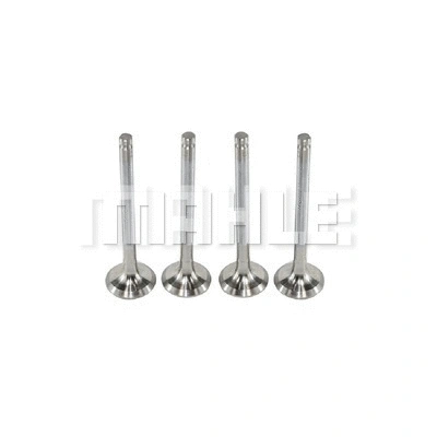 Exhaust Valve (VE0480055)
