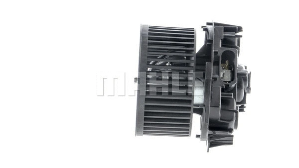 Interior Blower