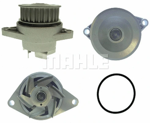 Water Pump, engine cooling (CP 10 000P)