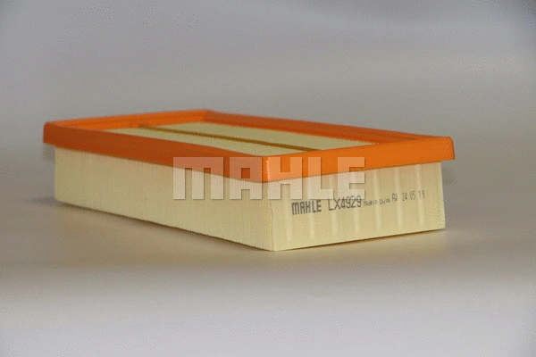 Air Filter (LX 4929)