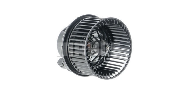 Interior Blower