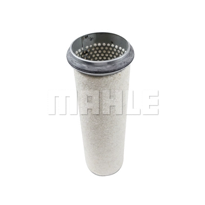 Secondary Air Filter