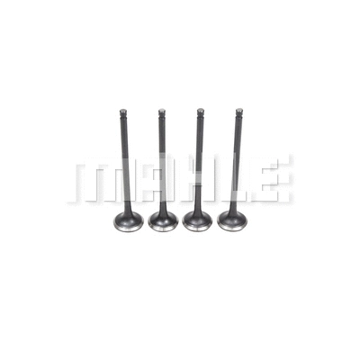 Exhaust Valve (VE2081418)