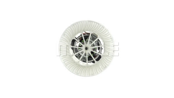 Interior Blower