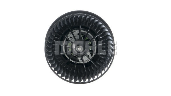 Interior Blower