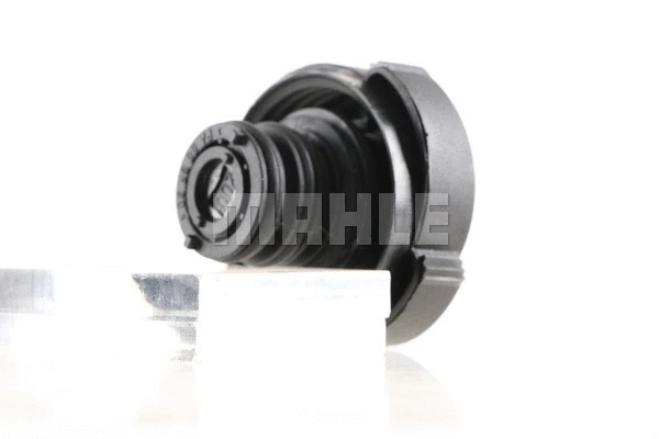 Cap, coolant tank