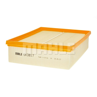 Air Filter (LX 3817)