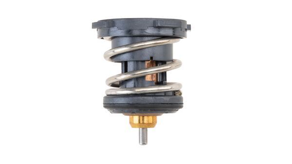 Thermostat, coolant (TX 252 87)