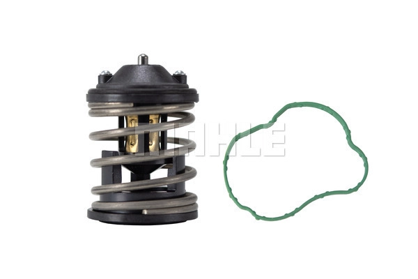 Thermostat, coolant (TX 163 87D1)