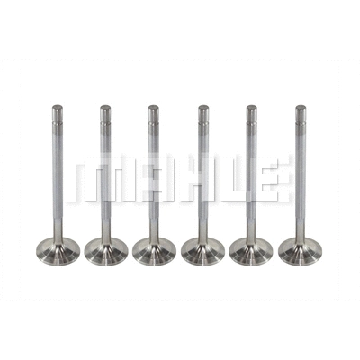 Intake Valve (VA0480244)