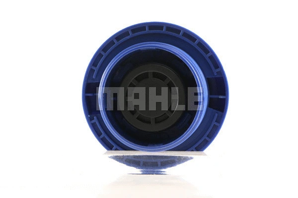 Cap, coolant tank