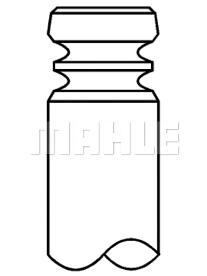 Exhaust Valve (021 VA 30389 100)