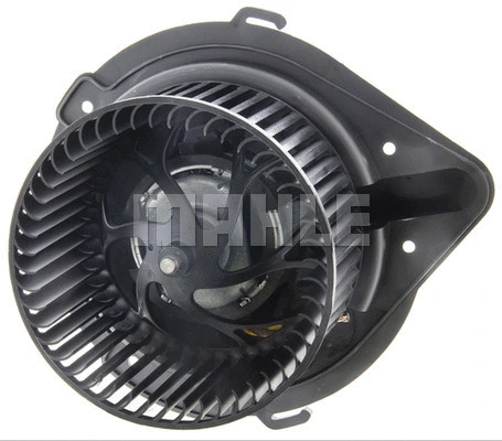 Interior Blower