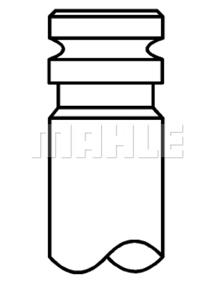 Intake Valve (037 VE 31152 000)