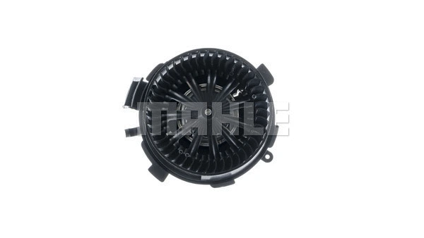 Interior Blower