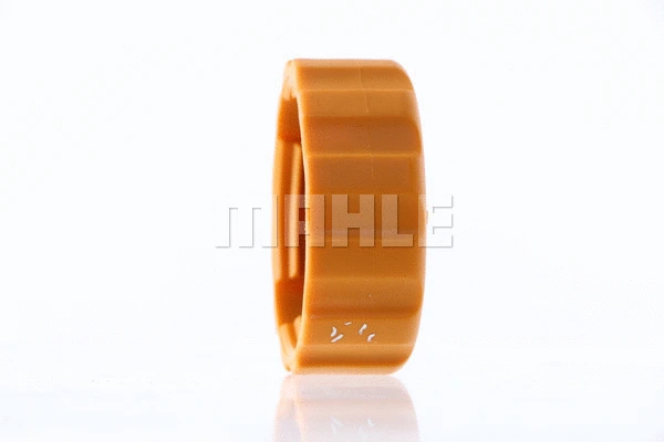 Cap, coolant tank