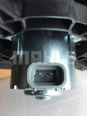 Fan, engine cooling