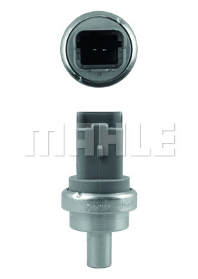 Sensor, coolant temperature (TSE 9)