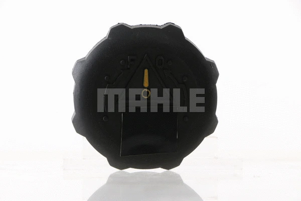 Cap, coolant tank