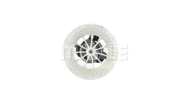 Interior Blower